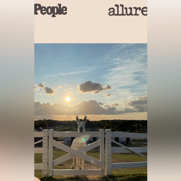 NWOB! Farmhouse Fresh Illumination Juice Facial Tonic - Picture 7 of 8